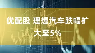 优配股 理想汽车跌幅扩大至5%