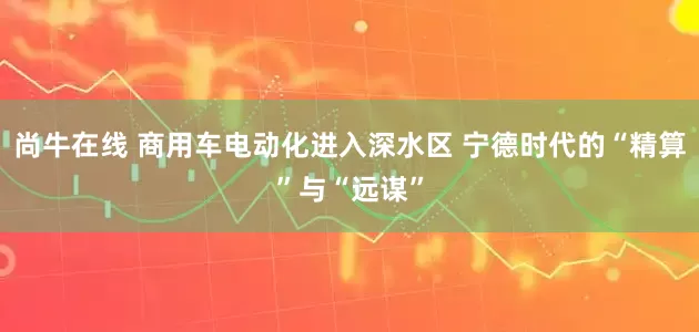 尚牛在线 商用车电动化进入深水区 宁德时代的“精算”与“远谋”
